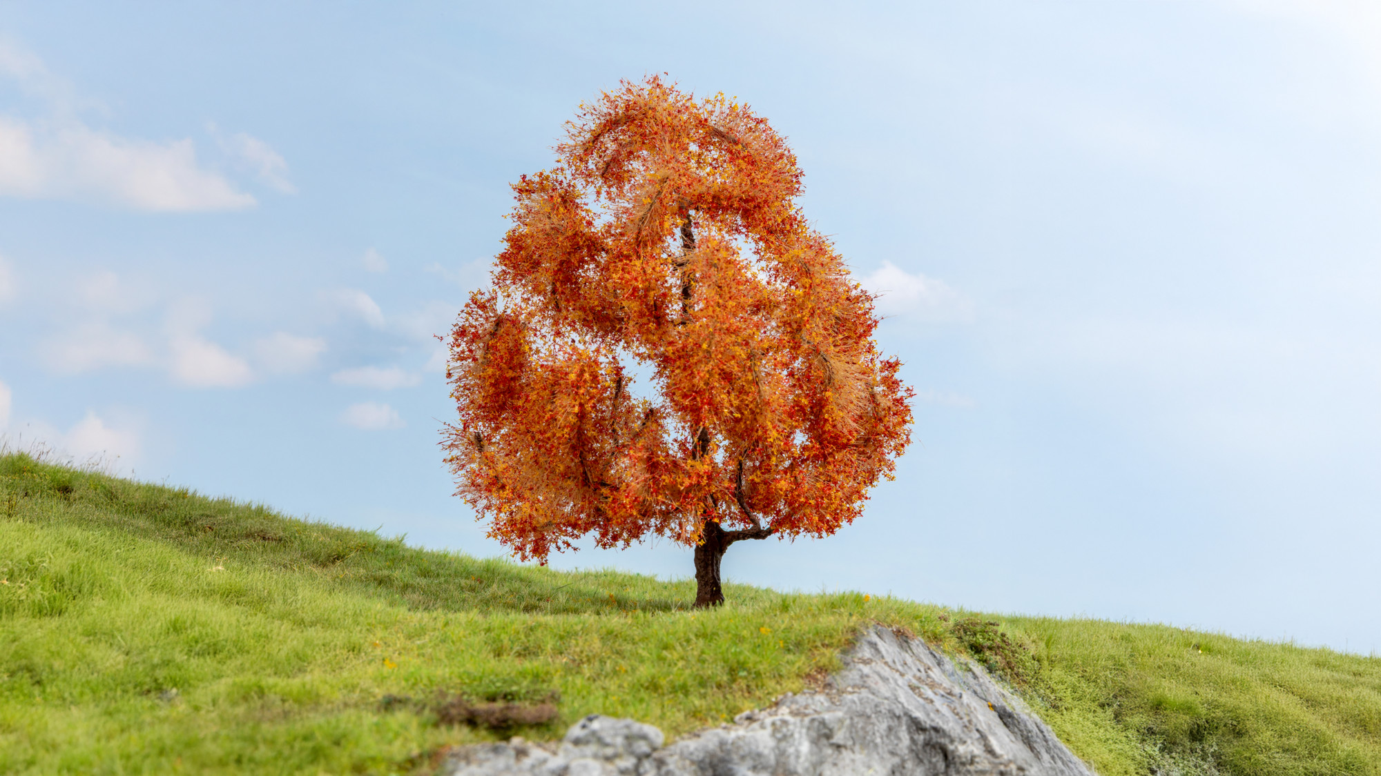 Noch 20155 Ahorn, herbstlich 15 cm hoch