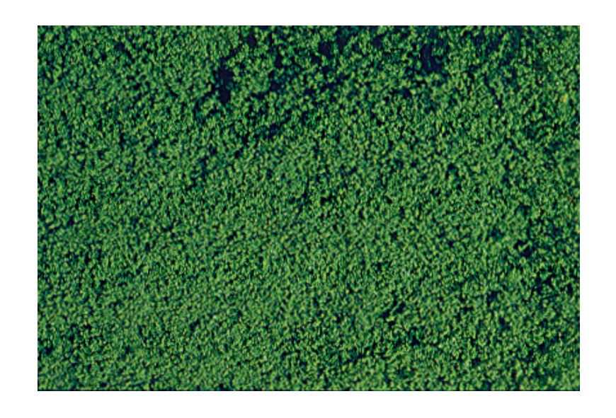 Heki 1602 mikroflor Belaubungsvlies dunkelgrün 28x14 cm - Neu