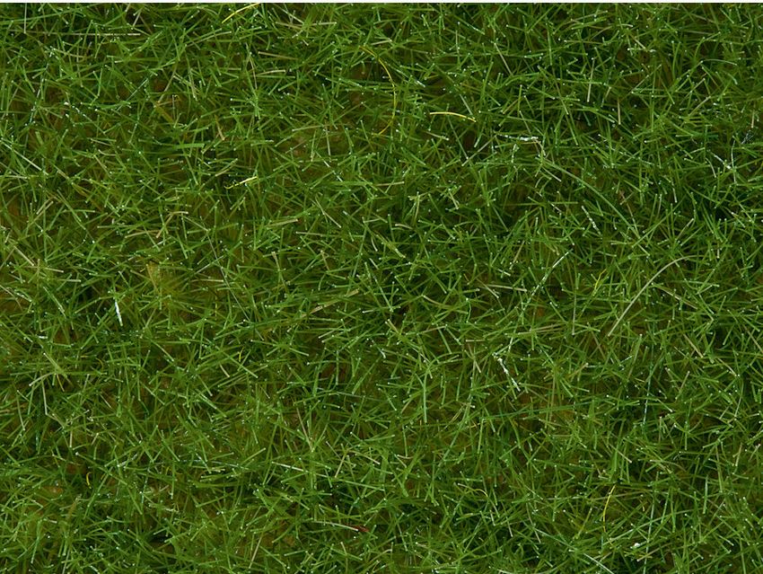Noch 07092 Wildgras - hellgrün, 6 mm, 100 g - Neu - OVP