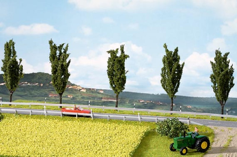 Noch 07420 Natur+ Rapsfeld