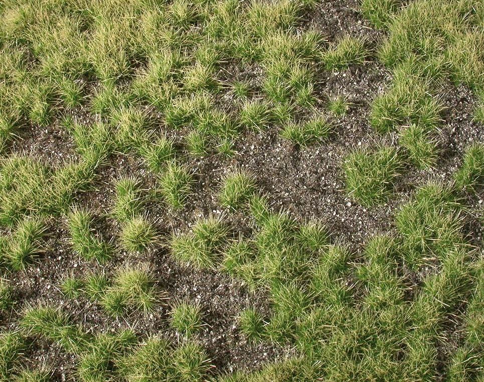 Busch 3536 Grasbüschel Frühling, zweifarbig
