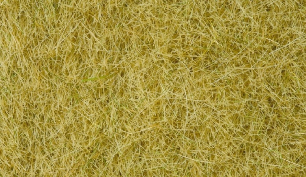 Noch 07091 Wildgras beige 100 g