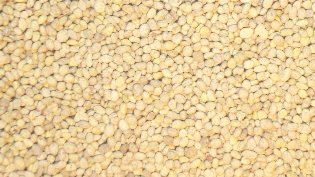Juweela 23104 Kartoffeln, 100g (Miniatur)