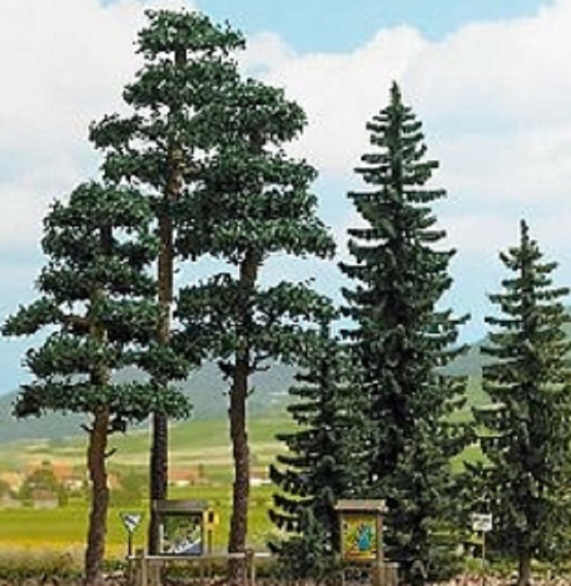 Busch 6393 Fichten- und Kiefernwald