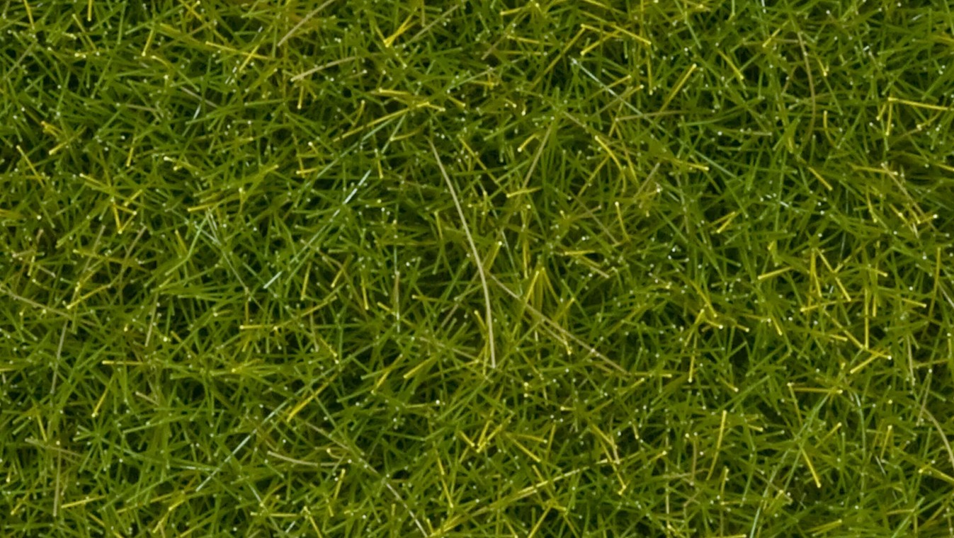 Noch 07112 Wildgras XL hellgrün 12 mm 40 g Beutel NEU OVP