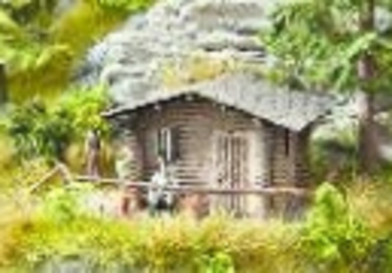 Noch 14634 Waldhütte