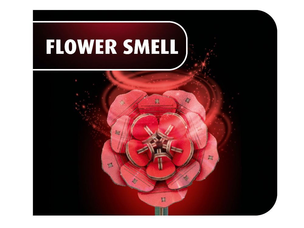 Revell 00631 Dream of Roses Holzblumen Bausatz NEU OVP