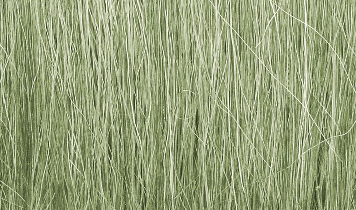 Woodland Scenics FG173 Hohes Gras hellgrün 8 g (0.28 oz) Neu OVP