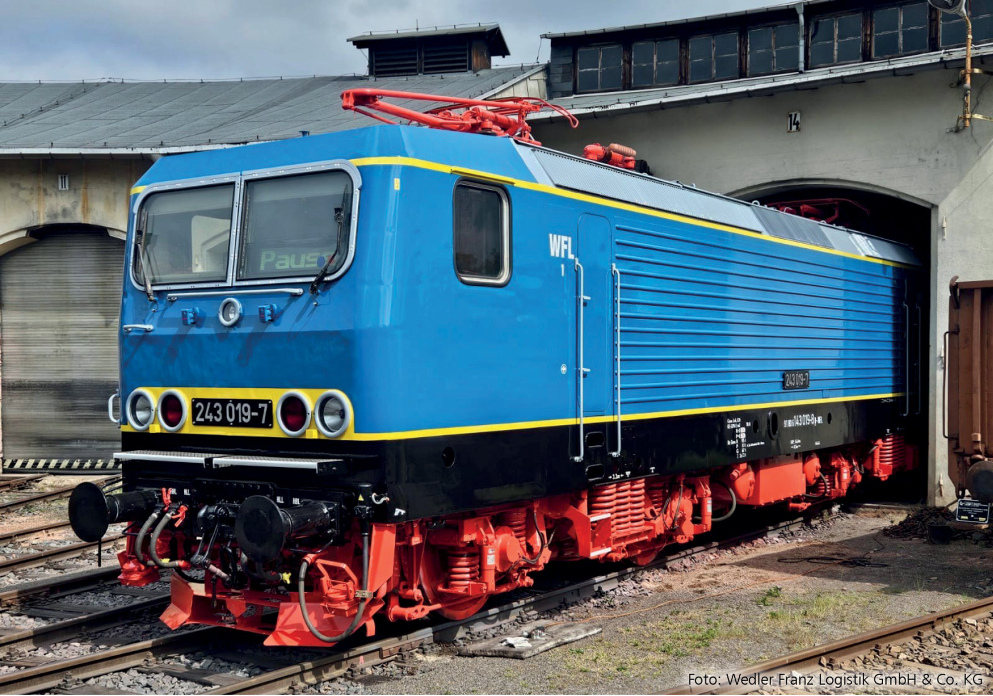 Tillig 04352 Elektrolokomotive 243 019-7 der Wedler Franz Logistik GmbH &