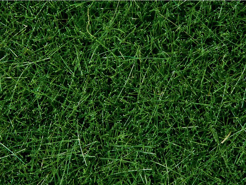 Noch 07106 Wildgras - dunkelgrün, 6 mm, 50 g - Neu - OVP