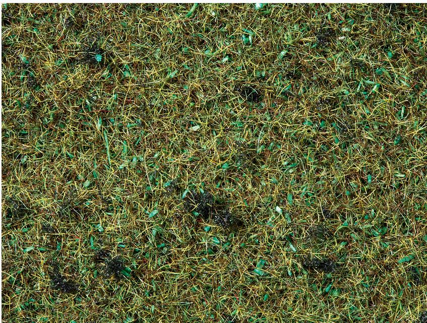 Noch 08157 Streugras “Waldboden” - 2,5 mm, 120 g - Neu - OVP