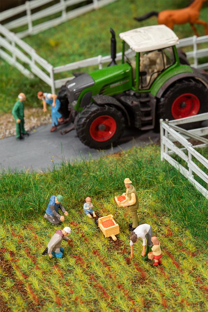 Faller 151659 Auf dem Erdbeerfeld - 1:87 Spur H0 - Neu - OVP