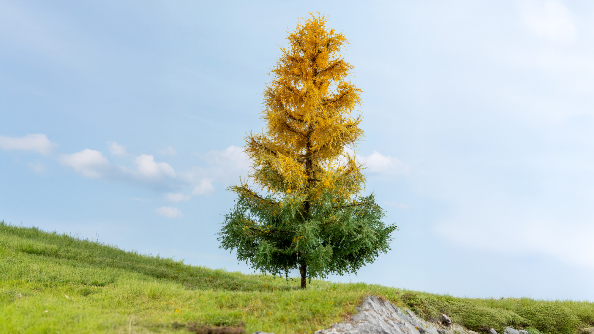 Noch 20168 Lärche, herbstlich 19 cm hoch