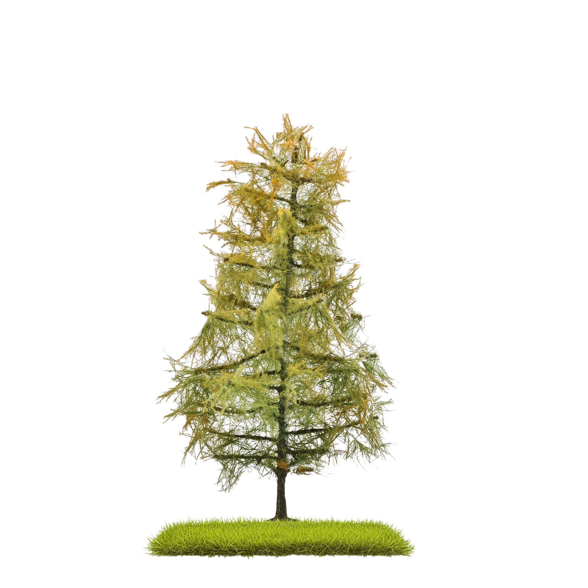 Busch 3816 Lärche Spätsommer 140 mm H0/T
