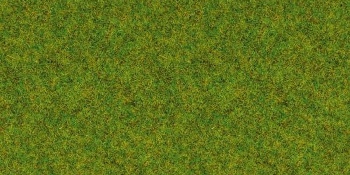 Noch 08200 Gras Frühlingswiese 20 g