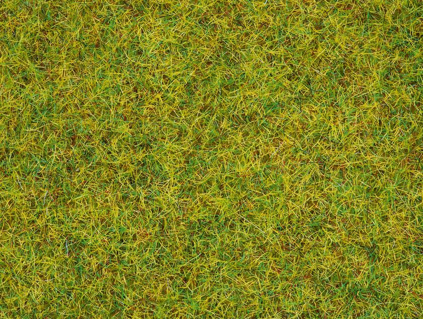 Noch 50190 Streugras “Sommerwiese” - 2,5 mm, 100 g - Neu - OVP