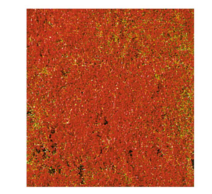 Heki 1588 decovlies Blumendecor rot 28x14 cm - Neu - OVP