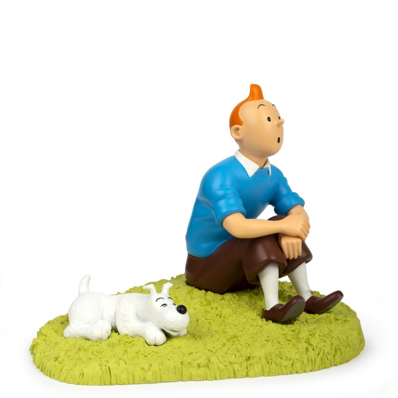 Tim & Struppi TINTIN 47001 Tim sitzt im Gras 18 cm Neu OVP Struppi Figur