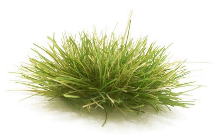Woodland Scenics FS771 Medium Green Grass Tufts - Neu - OVP