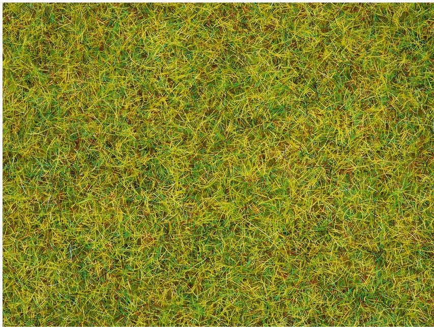 Noch 08151 Streugras “Sommerwiese” - 2,5 mm, 120 g - Neu - OVP