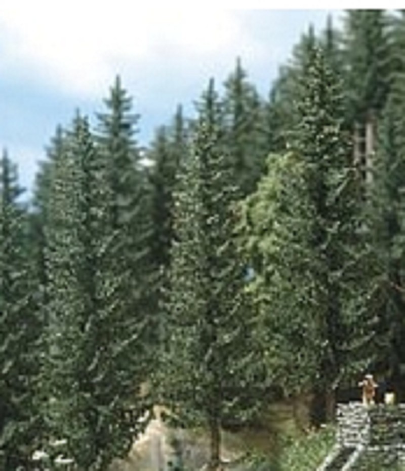 Busch 6131 Fichten 2 Stück