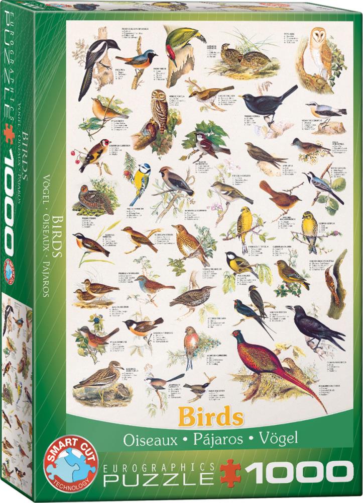EUROGRAPHICS 6000-1259 Vögel 1000 Teile Puzzle NEU OVP