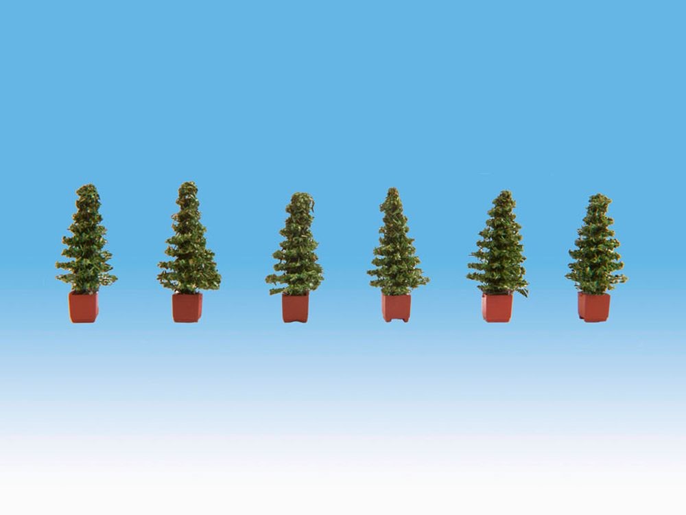 Noch 14021 Thuja
