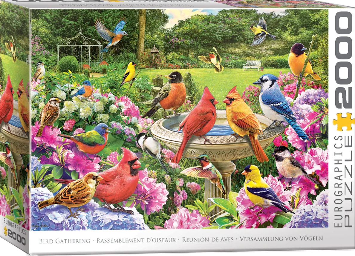 EUROGRAPHICS 8220-6134 Vogelversammlung 2000 Teile Puzzle NEU OVP