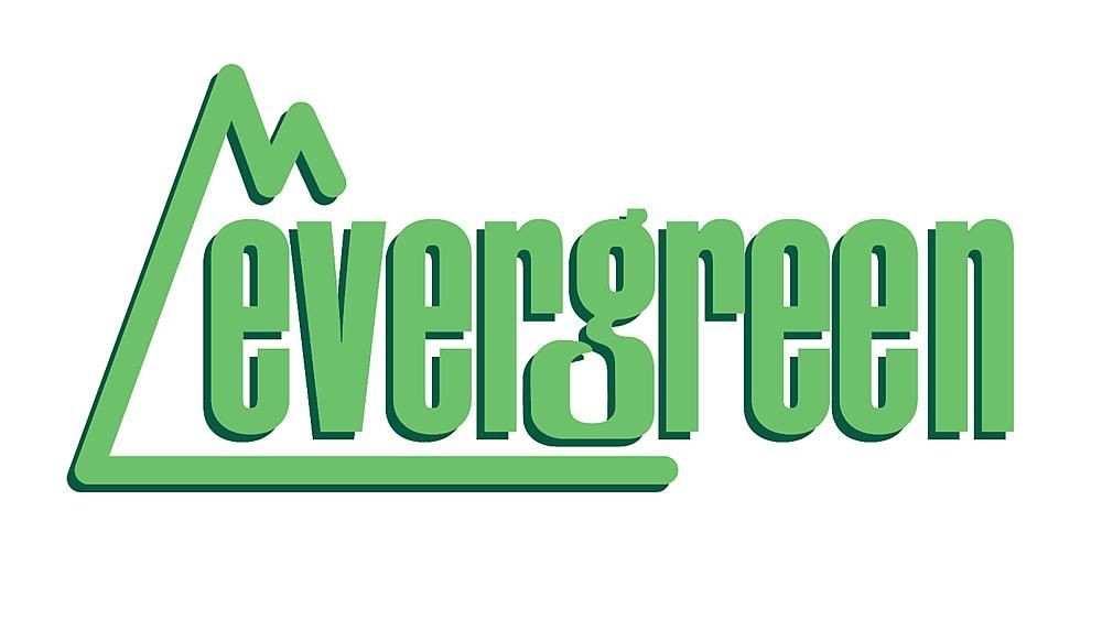 evergreen 2060 Strukturplatte, 0,5x150x300 mm. Raster 1,50 mm, 1 Stück