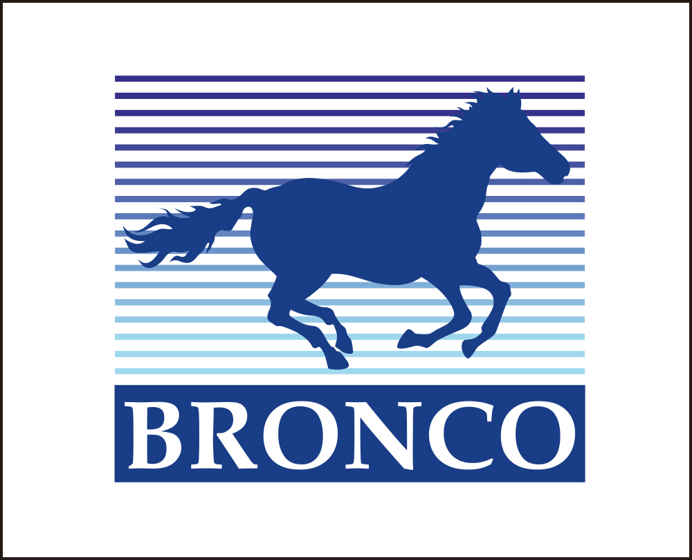 Bronco Models