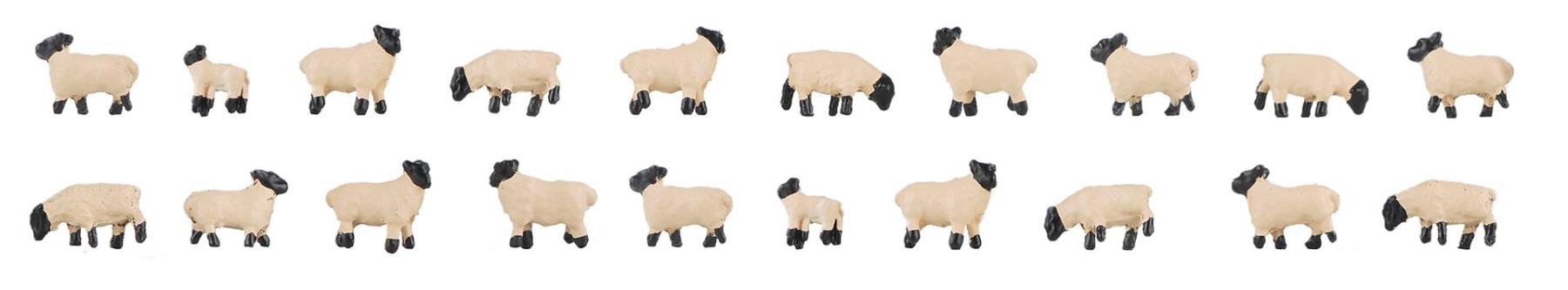 Faller 155906 20 Schwarzkopfschafe 1:160 Spur N Neu OVP Tiere