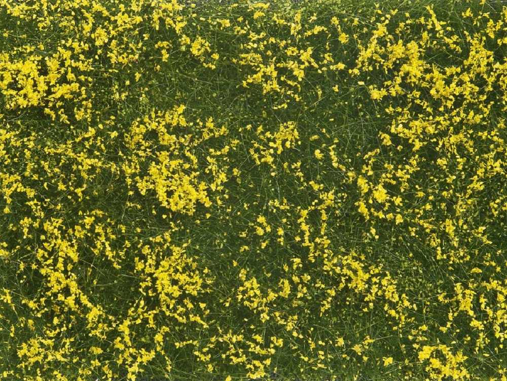 Noch 07255 Bodendecker-Foliage Wiese gelb - 12 x 18 cm - Neu - OVP