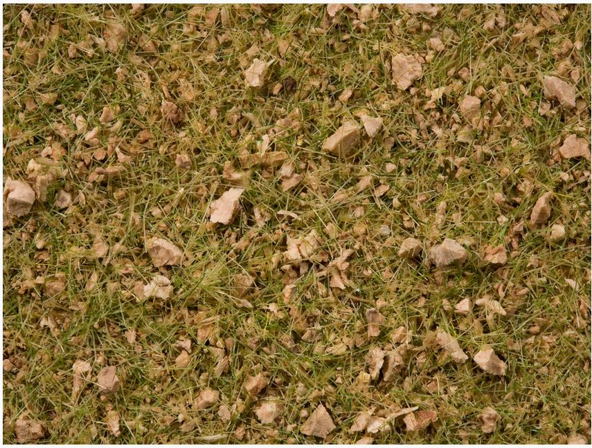 Noch 07075 Master-Grasmischung “Almwiese” - 2,5 bis 6 mm, 50 g