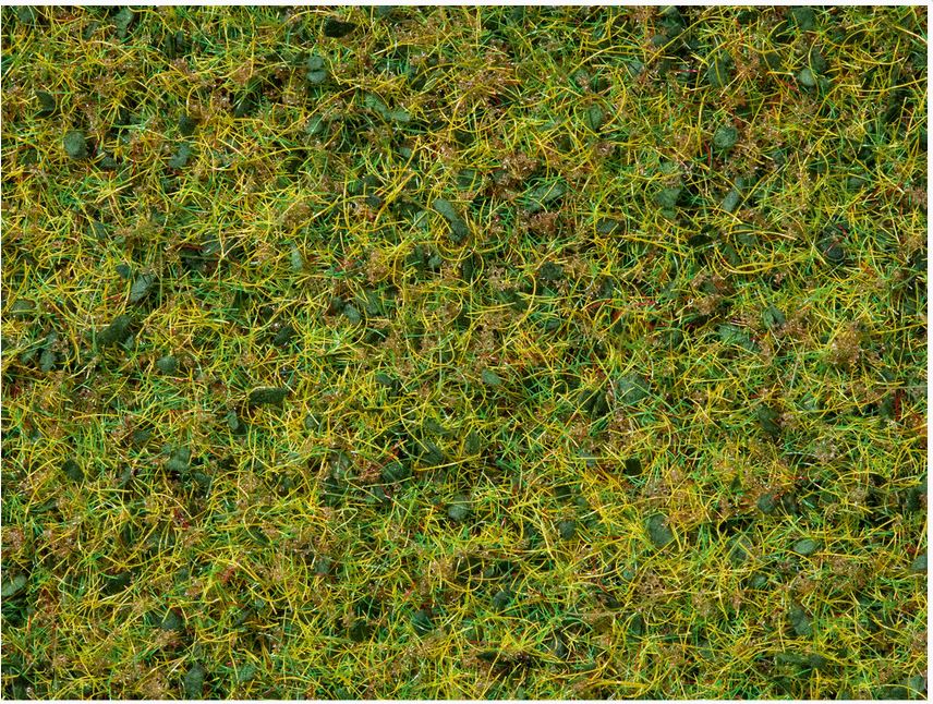 Noch 07072 Master-Grasmischung “Sommerwiese” - 2,5 bis 6 mm, 50g