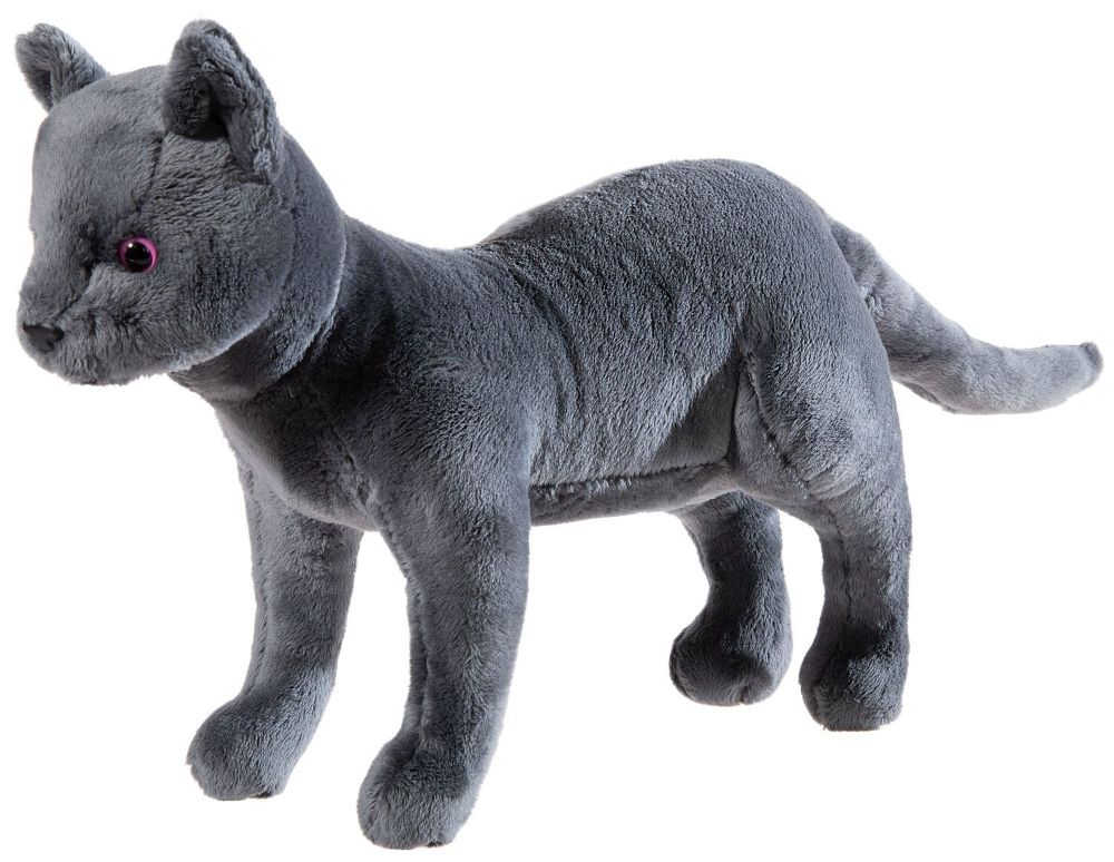 Heunec 621169 Kater "Karajan" Schule der magischen Tiere 30 cm Plüsch