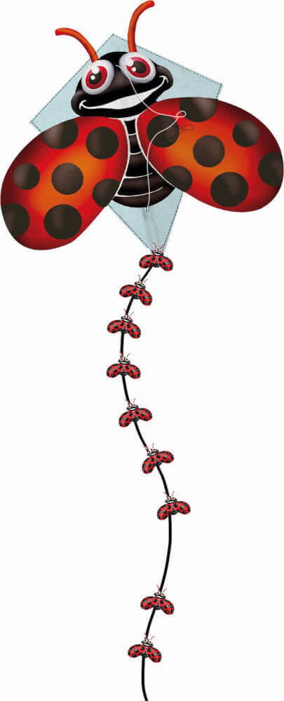 Sunflex 47165 POP UP Drachen Marienkäfer DIAMOND LADY BUG Neu OVP