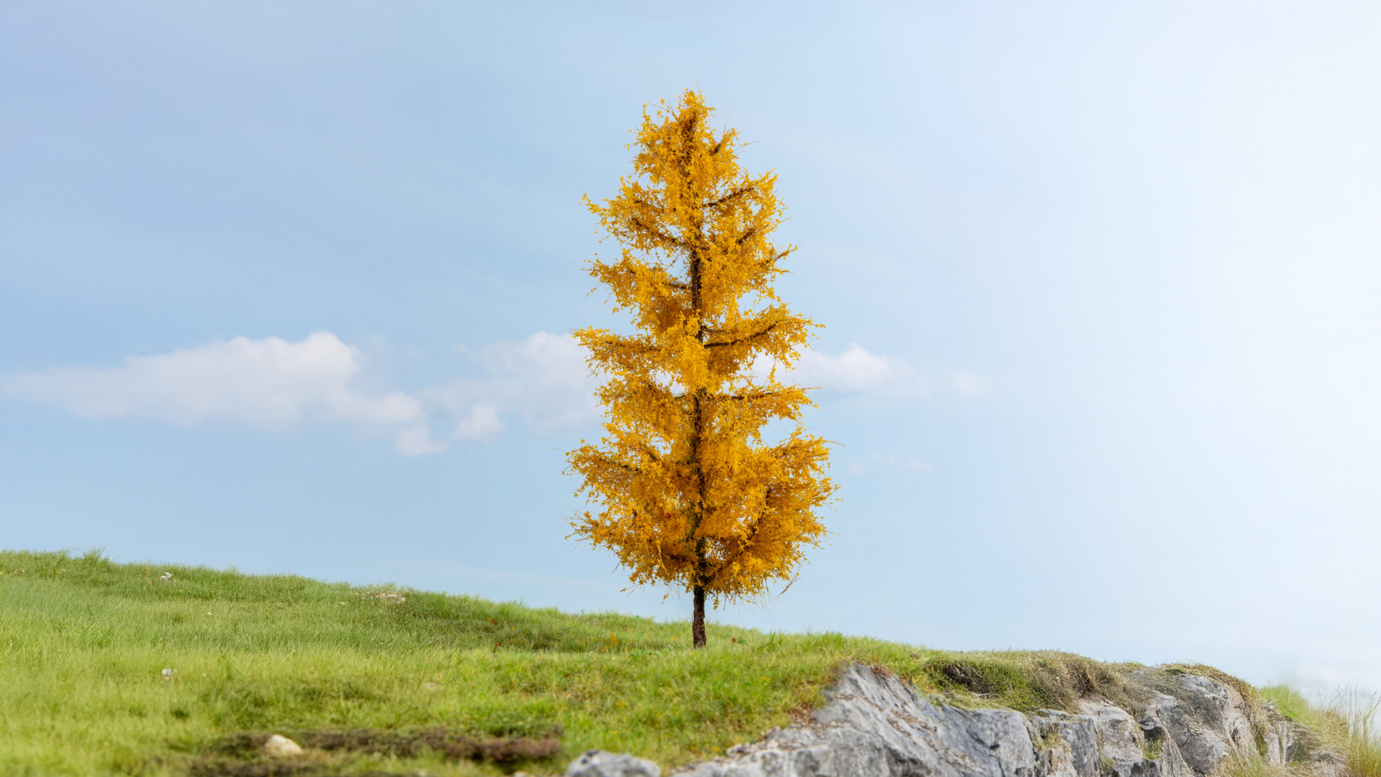Noch 20167 Lärche, herbstlich 17 cm hoch