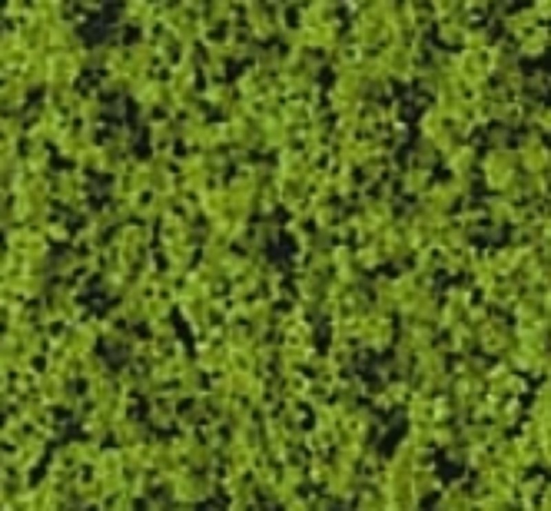 Heki 1554 flor Belaubungsvlies maigrün 28x14 cm Neu OVP