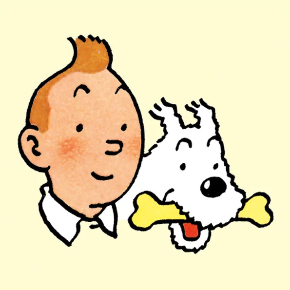 Tim & Struppi TINTIN