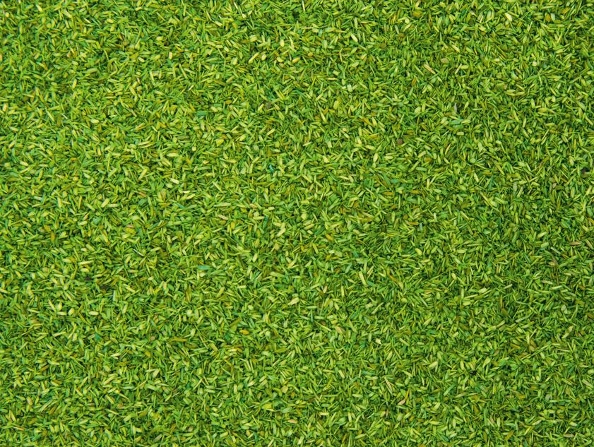 Noch 08411 Streumaterial - hellgrün, 150 g - Neu - OVP