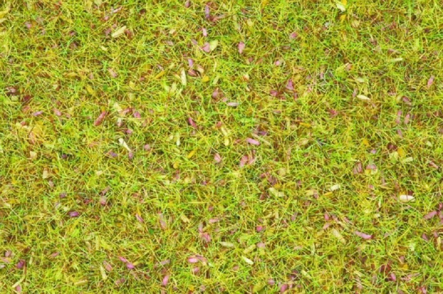Noch 08155 Gras Blumenwiese 120 g