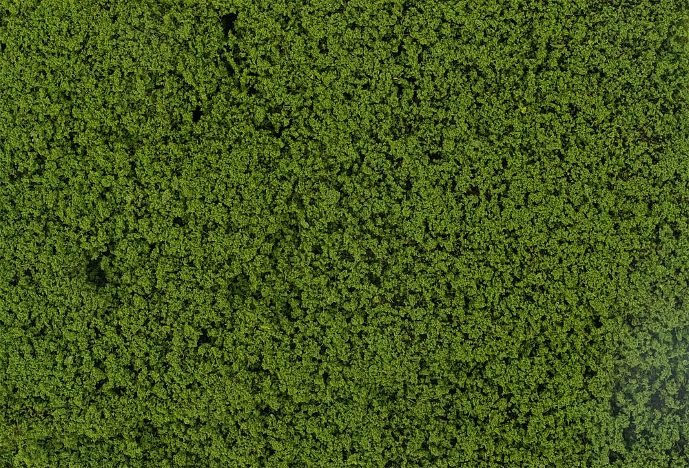 Faller 181622 Blätterfoliage, grün