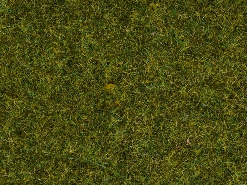 Noch 50220 Streugras “Wiese” - 2,5 mm, 100 g - Neu - OVP