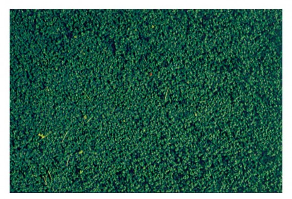 Heki 1603 Mikroflor Vert pin 28 x 14 cm